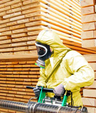 Закажите изготовление тары у нас и получите скидку на фумигацию!